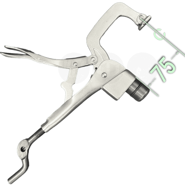 K28 clp 12